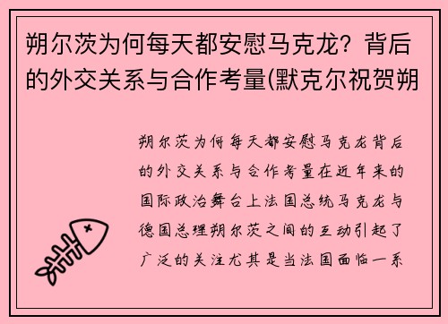 朔尔茨为何每天都安慰马克龙？背后的外交关系与合作考量(默克尔祝贺朔尔茨胜选)