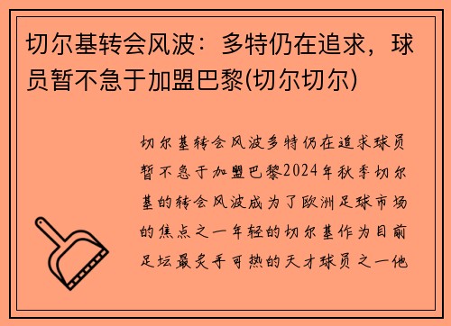 切尔基转会风波：多特仍在追求，球员暂不急于加盟巴黎(切尔切尔)